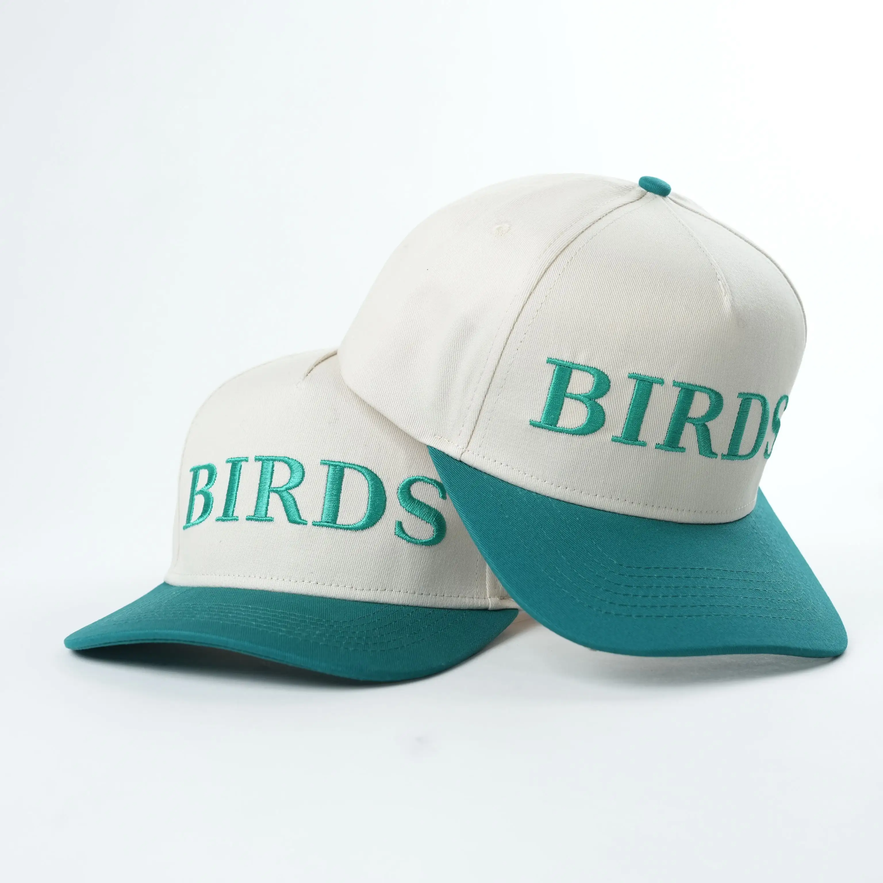 Wholesale Vintage High Quality New Embroidered for Men and Women New Original Two Tone Structured 5 Panel Baseball Cap
