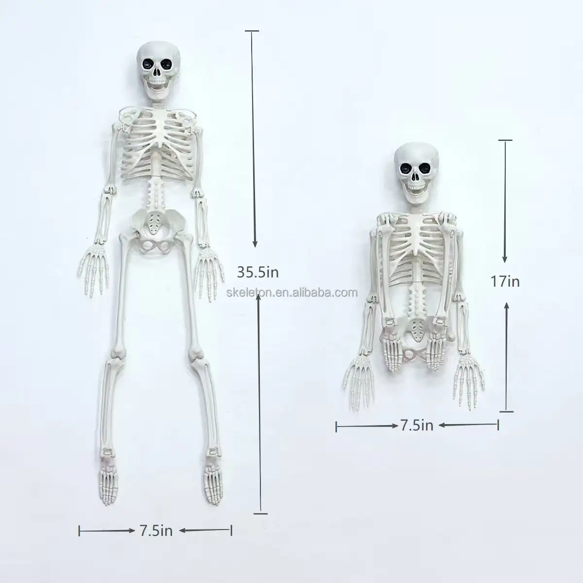 Halloween Animated Prop Life Size 90cm Articular Mobility Skeleton Model Halloween Party Decorate