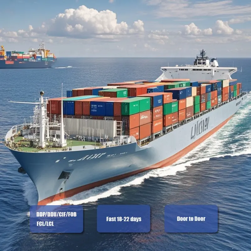 Shipping Transportation Sea Shipping Agent China for Brand Product Labubu Plush Toy